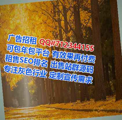 安平代生市政工程经营部